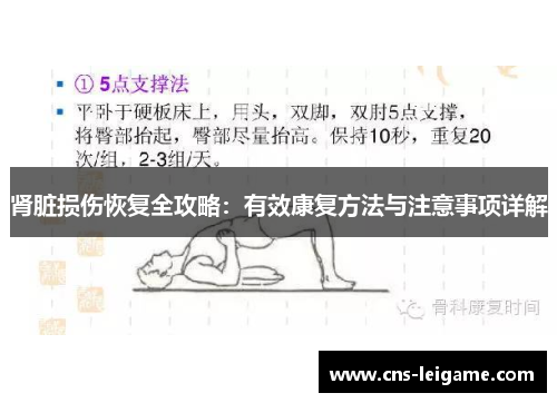 肾脏损伤恢复全攻略：有效康复方法与注意事项详解