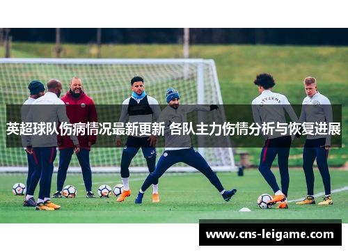 英超球队伤病情况最新更新 各队主力伤情分析与恢复进展