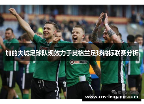 加的夫城足球队现效力于英格兰足球锦标联赛分析 加的夫城足球队现效力于英格兰足球锦标联赛分析
