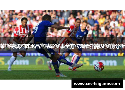 莱斯特城对阵水晶宫精彩赛事全方位观看指南及赛前分析