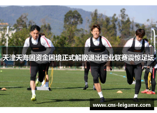天津天海因资金困境正式解散退出职业联赛震惊足坛